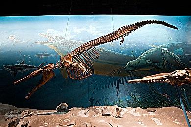 Xbox直面会时长43分钟 将展示四大游戏